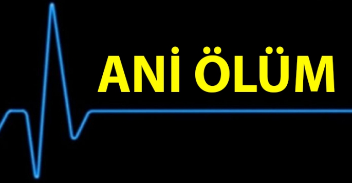 Ani ölüm