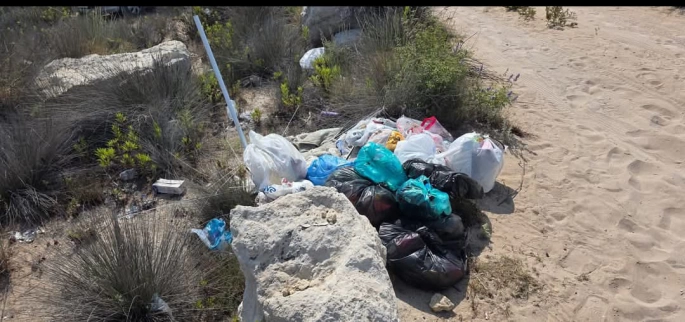 Borak’tan Karpaz’daki çevre kirliliğine tepki