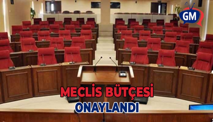 Cumhuriyet Meclisi bütçesi oy çokluğu ile onayladı