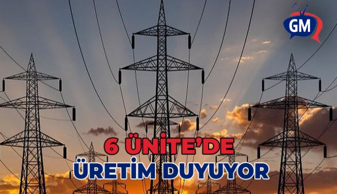 Dikelya Elektrik Santrali’ndeki 6 ünitede üretim duruyor