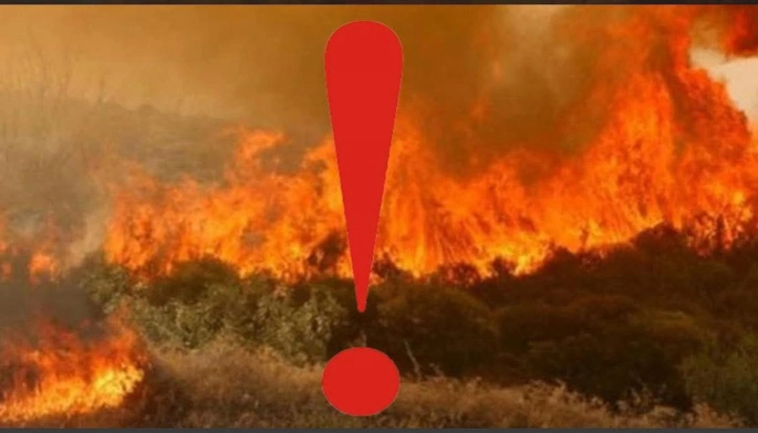 Dikmen bölgesinde yangın
