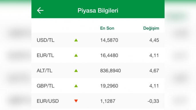 Döviz karşısında vatandaş ne yapacak ? Sterlin 19 TL den değer görüyor 