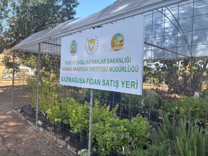  Gazimağusa’da fidanlık satış yeri hizmete girdi
