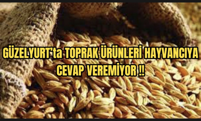 Güzelyurt’ta TÜK hayvancıya cevap veremiyor !!! 