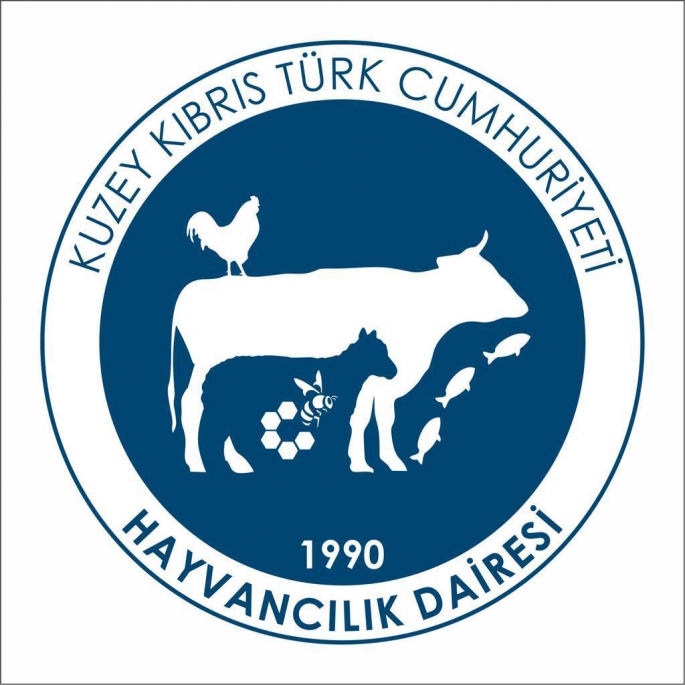 Hayvancılık Dairesi hatırlattı: “Hafta sonu yakalanan Pamuk Köpek Balığının nesli tehlikede, avlanması yasak”