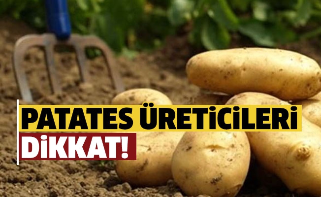 İlkbahar Patates Üreticilerinin Dikkatine, Beyan Süresi 15 Ekim'e Kadar.!