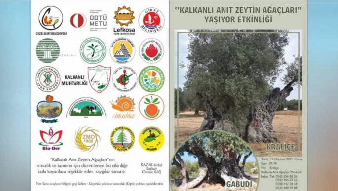 “Kalkanlı Anıt Zeytin Ağaçları Yaşıyor” etkinliği 13 Haziran’da düzenlenecek