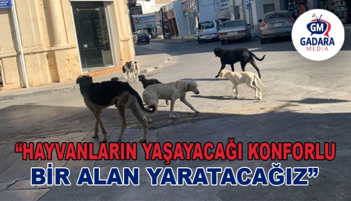 Kansoy: Hayvanların yaşayacağı konforlu bir alan yaratacağız