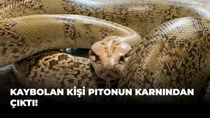 Kaybolan Kişi Pitonun Karnından Çıktı!
