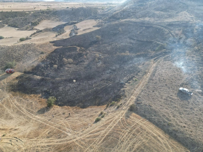 Kozanköy–Hisarköy Arasında Yangın: 74 Dönüm Makilik Alan Zarar Gördü