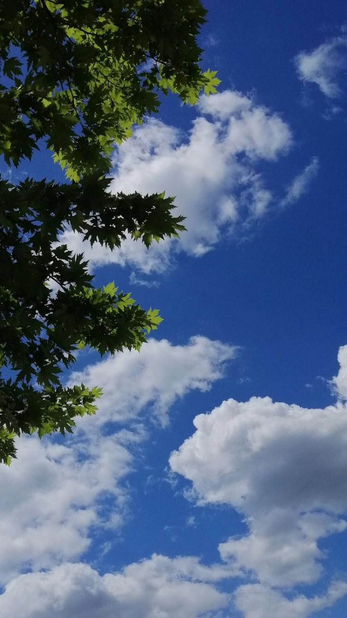 METEOROLOJİ: HAVA PARÇALI VE ÇOK BULUTLU OLACAK