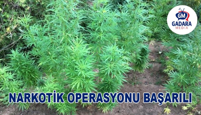 NARKOTİK OPERASYONU BAŞARILI GEÇTİ