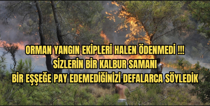 Orman dairesinde geçici olarak çalışan emekçiler halen ödenmedi !!!