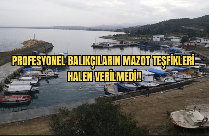 Profesyonel balıkçılar yine göz ardı ediliyor 
