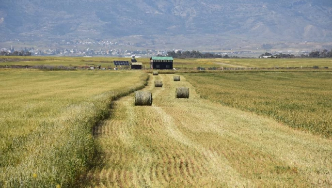 Son 20 yılın en kurak sezonu!