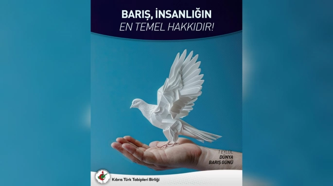 Tabipler Birliği Başkanı Dalkan: 