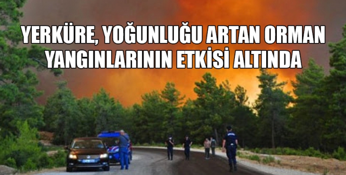 Türkiye'nin yanı sıra İtalya, Arnavutluk, Yunanistan, Tunus ve Cezayir de yangınlarla mücadele ediyor