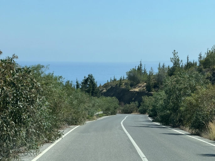 Yeşilırmak Sınır Kapısı Yolunda Tehlike Büyüyor: Ağaçlar Yolu Kapattı, Kuruyan Otlar Yangın Riski Taşıyor
