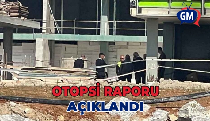 Zehie Helin Reessur’un ölüm sebebi: Küt cisimle vurmaya bağlı olarak gelişen kafa kemiği kırığı, beyin kanaması